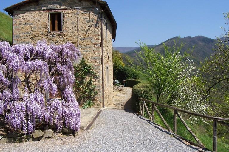 Appartement Fattoria Di Pietrabuona à Pescia Extérieur photo