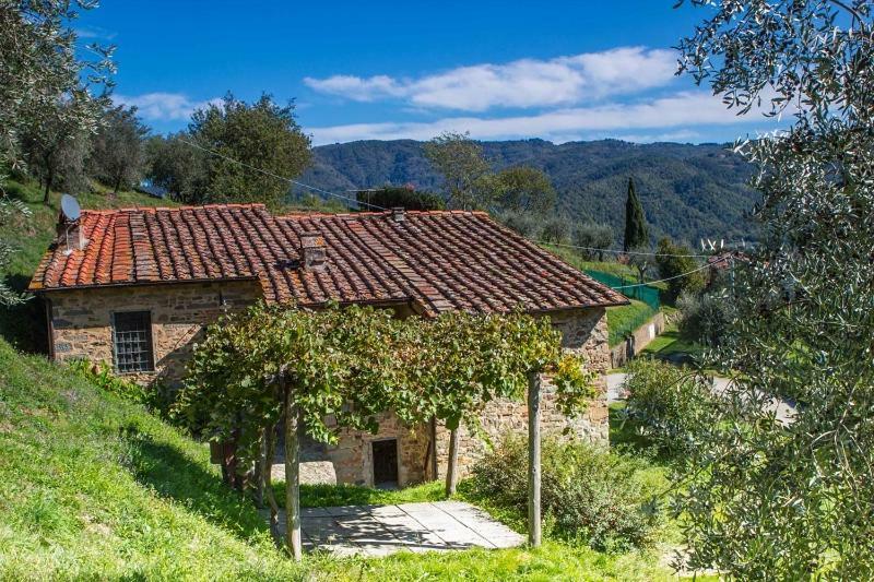 Appartement Fattoria Di Pietrabuona à Pescia Extérieur photo